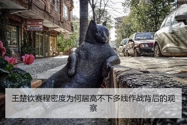 王楚钦赛程密度为何居高不下多线作战背后的观察